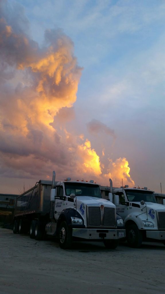 Truck 119